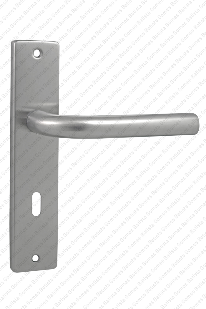 Batista Gomes - P.IN.8542 - 