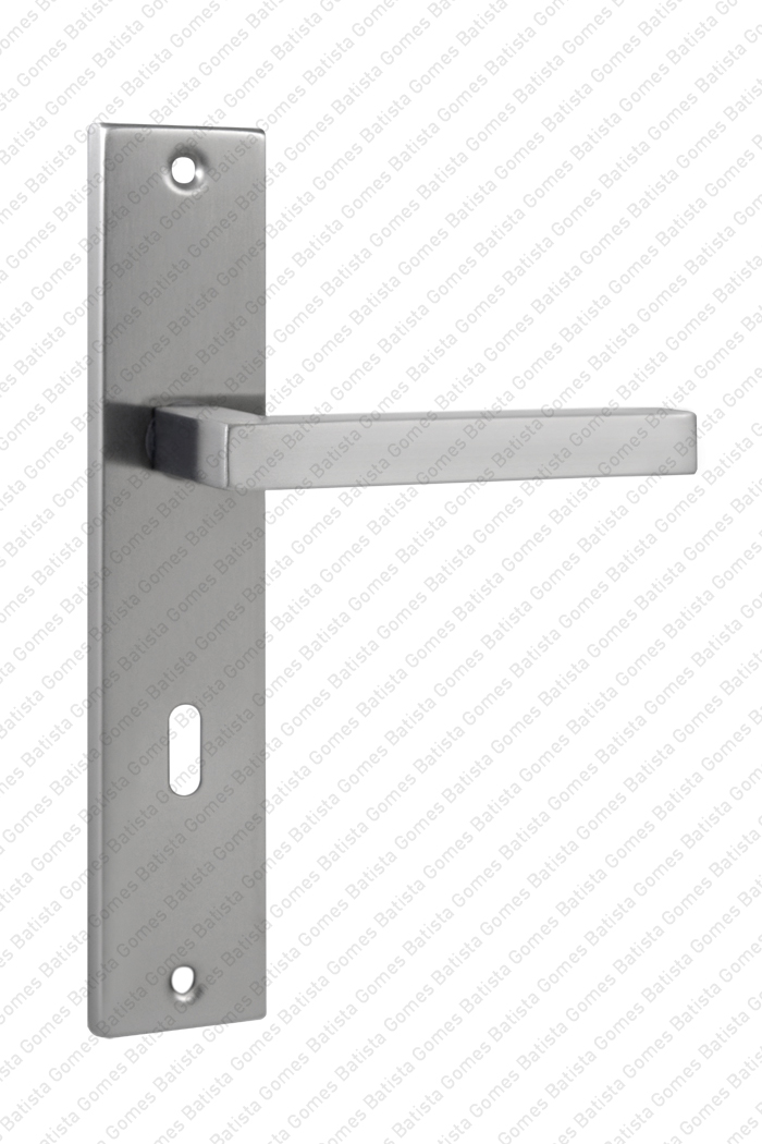 Batista Gomes - P.IN.8553 - 